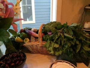 File under: Things that start from tiny, tiny seeds (metaphor obvious and intended).